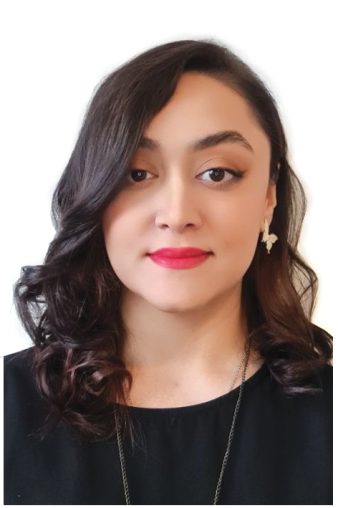 مهزاد قارلقی